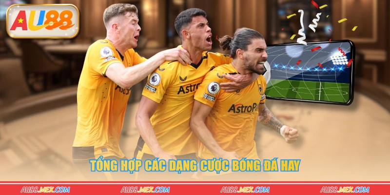 Tổng hợp các dạng cược bóng đá hay